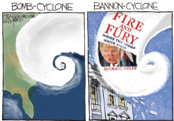 BANNON FIRE AND FURY by Jeff Darcy