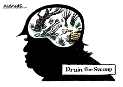 DRAIN THE SWAMP  by Jimmy Margulies