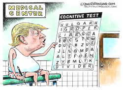 TRUMP COGNITIVE TEST  by Dave Granlund