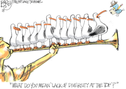 LOCAL LDS BIRDS by Pat Bagley