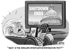TRUMP WORRIES AS GOVERNMENT SHUTDOWN ENDS by R.J. Matson