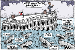 SHARK INFESTED WATERS   by Monte Wolverton