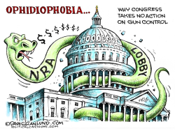 CONGRESS AND NRA  by Dave Granlund