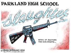 FLORIDA SCHOOL SHOOTING  by Dave Granlund