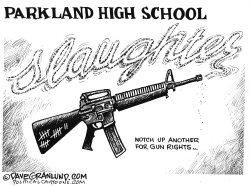 FLORIDA SCHOOL SHOOTING by Dave Granlund