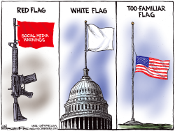 FLAGS FOR PARKLAND by Kevin Siers