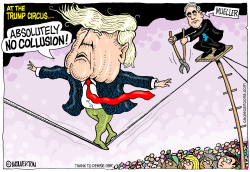 TRUMP ON THE TIGHTROPE by Monte Wolverton