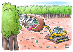 DEFORESTATION IN BRAZIL by Gatis Sluka