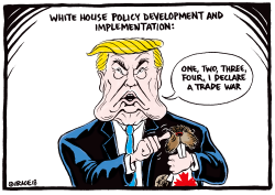 I DECLARE A TRADE WAR by Ingrid Rice