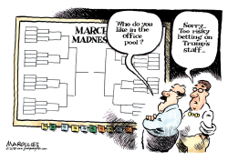 MARCH MADNESS BRACKETS COLOR by Jimmy Margulies
