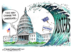 MIDTERMS 2018 by Dave Granlund