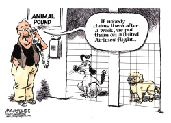 UNITED AIRLINES DOG DEATH COLOR by Jimmy Margulies
