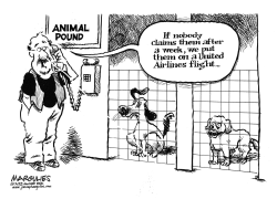 UNITED AIRLINES DOG DEATH by Jimmy Margulies