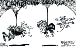 Cambridge Analytica by Milt Priggee
