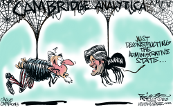 Cambridge Analytica by Milt Priggee