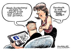 MARK ZUCKERBERG AND FACEBOOK COLOR by Jimmy Margulies