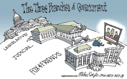 BRANCHES OF GOVERNMENT by Mike Keefe
