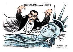 2020 CENSUS  by Jimmy Margulies
