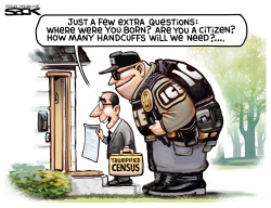 CENSUS ICE by Steve Sack