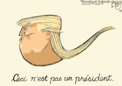 NOT A PRESIDENT by Pat Bagley