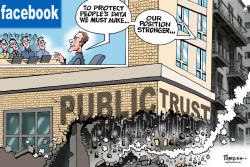 FACEBOOK AND PUBLIC TRUST by Paresh Nath