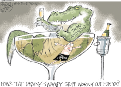CHAMPAGNE SWAMP by Pat Bagley