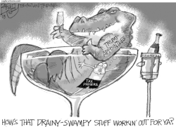 Champagne Swamp by Pat Bagley