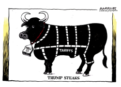 WALL STREET AND TRADE WAR COLOR by Jimmy Margulies