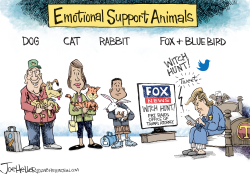 EMOTIONAL SUPPORT ANIMALS by Joe Heller