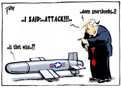 TRUMP AND SMART BOMBS by Tom Janssen