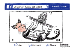ZUCKERBERG AND CONGRESS  by Jimmy Margulies