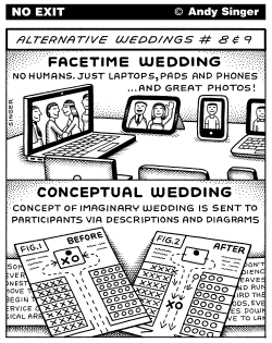 FACETIME AND CONCEPTUAL WEDDINGS by Andy Singer