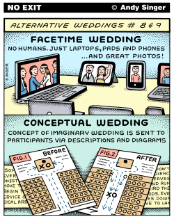 FACETIME AND CONCEPTUAL WEDDINGS COLOR VERSION by Andy Singer
