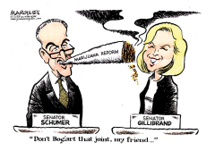 SCHUMER AND GILLIBRAND MARIJUANA PLANS COLOR by Jimmy Margulies