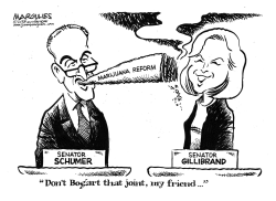 SCHUMER AND GILLIBRAND MARIJUANA PLANS by Jimmy Margulies