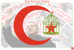 FREE PRESS IN TURKEY 2 by NEMØ