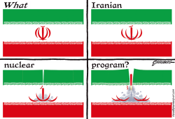 IRAN NUCLEAR FLAG by Steve Greenberg