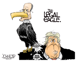 THE LEGAL EAGLE by John Cole