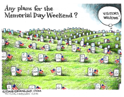 MEMORIAL DAY PLANS by Dave Granlund