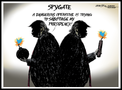 Trump Spygate by J.D. Crowe