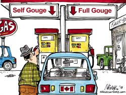 GAS GOUGE by Steve Nease