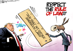 IMMIGRATION RULE OF LAW by Nate Beeler