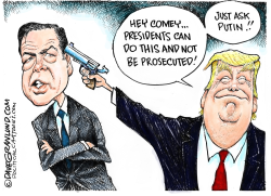 TRUMP AND SHOOTING COMEY by Dave Granlund