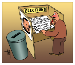 TURKISH ELECTIONS by Arend Van Dam