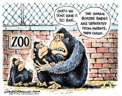 BORDER FAMILIES SEPARATED by Dave Granlund