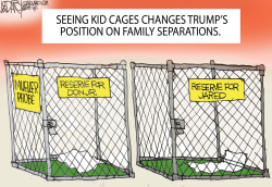 TRUMP FAMILY SEPARATION REVERSAL by Jeff Darcy