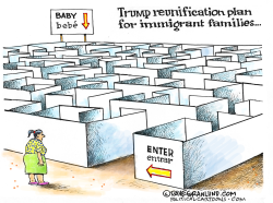 FAMILY REUNIFICATION PLAN by Dave Granlund
