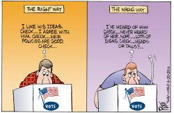 THE RIGHT WAY TO VOTE by Bruce Plante