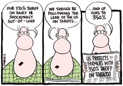 FOLLOWING THE LEAD ON TARIFFS by Ingrid Rice