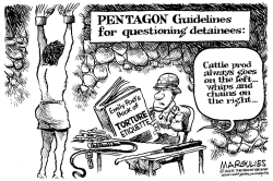 PENTAGON POLICIES FOR QUESTION DETAINEES by Jimmy Margulies